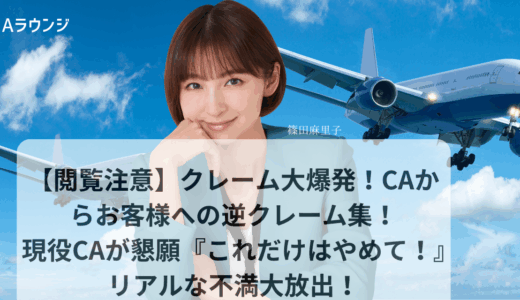 【閲覧注意】クレーム大爆発！CAからお客様への逆クレーム集！現役CAが懇願『これだけはやめて！』不満大放出！